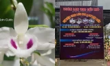 Giá ảo của loại lan đột biến Ngọc Sơn Cước được cho là giao dịch 250 tỷ đồng tại thị xã Đông Triều, tỉnh Quảng Ninh (Ảnh cắt từ clip).