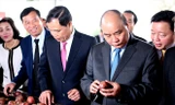 Thủ tướng Nguyễn Xuân Phúc, Bộ trưởng NN&PTNT Nguyễn Xuân Cường cùng các đại biểu tham quan xưởng chế biến rau quả xuất khẩu của Doveco ngày 11/2. Ảnh: Bình Phương 