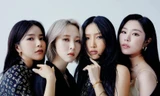 Fan MAMAMOO lên kế hoạch tẩy chay concert nhóm sau quyết định vô lý của công ty chủ quản