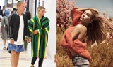Justin Bieber 'đá' Sofia Richie, quay về với 'cô đào' Hailey Baldwin?