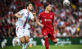 Nhận định Crystal Palace vs Liverpool, 2h45 ngày 26/2: Cảnh giác trước 'Hoà đại nhân' 