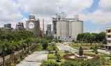 Công ty Xi măng Vicem Hoàng Thạch.
