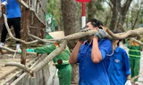 Tuổi trẻ Hải Phòng, Hải Dương khắc phục hậu quả cơn bão số 3 