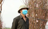 Người dân Chí Linh trước nguy cơ mất trắng vụ đào Tết vì COVID-19