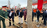Nhiều tỉnh thành phát động 'Tết trồng cây' ngày đầu khai xuân