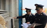 Bắt container chứa hàng cấm nhập về cảng ở Hải Phòng 