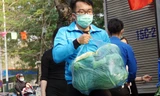 Đoàn viên thanh niên Hải Phòng giải cứu nông sản cho người dân huyện Tiên Lãng.