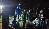 Tuổi trẻ Hải Phòng ngày đêm đắp đê ngăn lũ 