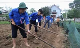 T.Ư Đoàn tổ chức hoạt động tình nguyện tại quê hương Lý Tự Trọng