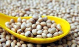 Đậu nành - 'Siêu thực phẩm' dành cho sức khỏe