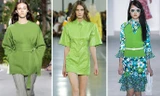 Xanh thiên nhiên là màu sắc chủ đạo của năm 2017