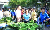 Đoàn viên thanh niên Đồng Nai bán chuối hỗ trợ người dân Trảng Bom ngay tại cơ quan Tỉnh Đoàn - Ảnh: Ngô Tùng