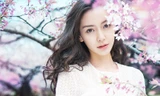 Angelababy xinh như thiên thần bên hoa anh đào