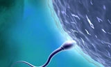 Nam giới sinh con muộn, tinh trùng dễ ‘đột biến’