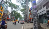 Loạt trụ đèn lộ vẻ nhếch nhác sau tháo cỏ nhựa, quận 5 nói gì?