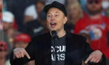 Elon Musk nổi giận