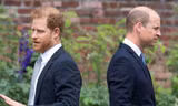 Tính toán của Hoàng tử William 