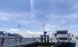 Tuyến phà biển Cần Giờ - Tiền Giang sẽ được triển khai trong năm nay