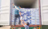 Bắt giám đốc công ty nhập lậu sữa từ Mỹ về Việt Nam 
