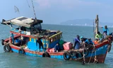 Chìm tàu đánh cá trên biển Cần Giờ, một thuyền viên tử vong 