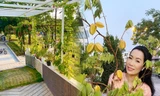 Phát 'sốt' với vườn cây xanh mướt trong biệt thự sang trọng của Trịnh Kim Chi