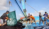 Đưa ra xét xử vi phạm về chống đánh bắt thủy sản trái phép ngay từ 1/8