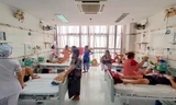 Đồng Tháp: 7 ca tử vong vì sốt xuất huyết