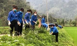 Tuổi trẻ Tuyên Quang thực hiện hàng trăm công trình, phần việc thanh niên