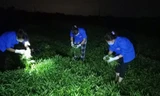 Thanh niên tình nguyện chong đèn hái rau cho bà con nông dân Phúc Thọ trong đêm.