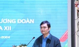 Năm 2024 là năm sôi động các hoạt động thanh niên tình nguyện trên toàn quốc