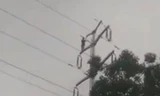 'Ngáo đá' trèo lên cột cao thế bị điện giật nổ như bom