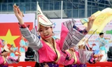 Lễ hội mùa xuân Việt-Nhật 2013