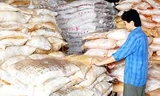 Tội phạm phân bón chỉ đứng sau... ma túy
