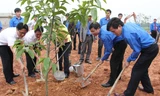 Thanh niên trồng cây tại khu tưởng niệm