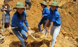 Thanh niên tình nguyện Yên Bái cùng bà con làm đường. Ảnh: Trường Phong