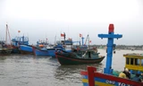 Rà soát chính sách hỗ trợ ngư dân đánh bắt xa bờ