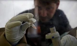 Thử nghiệm thành công vắc-xin Ebola trên khỉ
