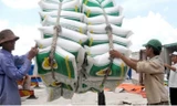 Phó Thủ tướng yêu cầu làm rõ vụ mở tờ khai xuất khẩu gạo nửa đêm của Hải quan