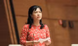 Đại biểu Quốc hội: 'Gói hỗ trợ chưa qua được vòng thủ tục, tiến độ rất chậm'