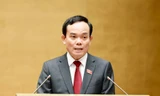 Phó Thủ tướng Trần Lưu Quang: Tập trung hoàn thiện kế hoạch thực hiện Quy hoạch Điện VIII