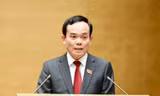 Phó Thủ tướng Trần Lưu Quang: Tập trung hoàn thiện kế hoạch thực hiện Quy hoạch Điện VIII