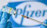 Chính phủ đồng ý mua 21,9 triệu liều vắc xin Pfizer cho trẻ em 5 đến dưới 12 tuổi