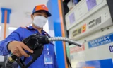 Tiếp tục giảm 50% thuế bảo vệ môi trường với xăng, dầu từ 1/1/2024