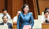 Thống đốc Nguyễn Thị Hồng nêu lý do kiểm soát tín dụng bất động sản 