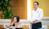 Chủ tịch Quốc hội: Rà soát xem có nhóm lợi ích nào trong xây dựng Luật Địa chất khoáng sản