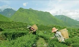 Tìm kiếm cơ hội việc làm phi nông nghiệp cho đồng bào dân tộc thiểu số