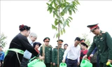 Chủ tịch nước phát động Tết trồng cây nhớ ơn Bác Hồ 