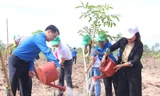 Trung ương Đoàn tham gia trồng mới 101.000 cây xanh rừng đầu nguồn