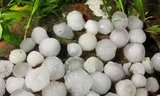 Mưa đá xảy ra tại nhiều địa phương vào 30 và mùng Một Tết Canh Tý.