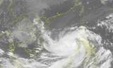 Ảnh vệ tinh chụp bão số 9.